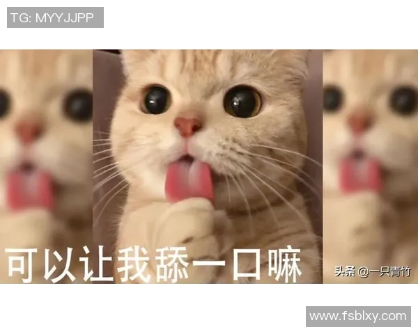 足球明星与猫猫的可爱互动视频让你心动不已快来一起欣赏吧 足球明星与猫猫的可爱互动视频让你心动不已快来一起欣赏吧