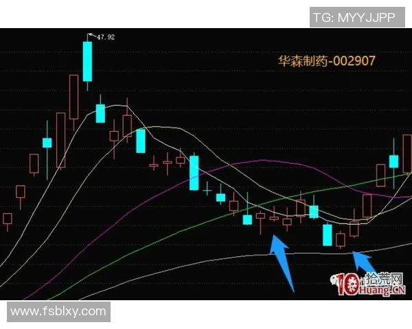 重庆网球队协作分析与战术配合研究的深度探讨 重庆网球队协作分析与战术配合研究的深度探讨