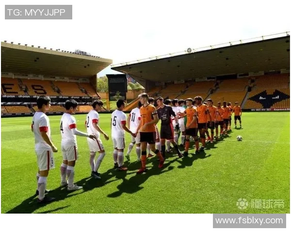 足球纪实：记录南京足球队的奋斗经历