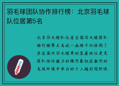 羽毛球团队协作排行榜：北京羽毛球队位居第5名