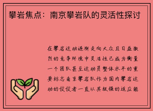 攀岩焦点：南京攀岩队的灵活性探讨