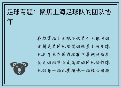 足球专题：聚焦上海足球队的团队协作